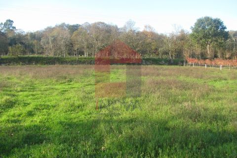 Helårsgrund i Amares, Braga, Amares - € 16.500 | Ref: 08041 - foto 2