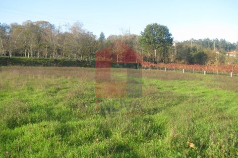 Helårsgrund i Amares, Braga, Amares - € 16.500 | Ref: 08041 - foto 3