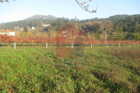 Helårsgrund i Amares, Braga, Amares - € 16.500 | Ref: 08041 - foto 6