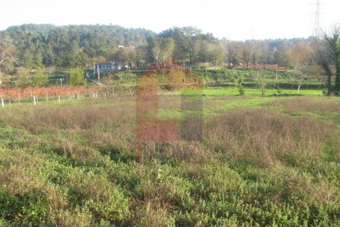 Helårsgrund i Amares, Braga, Amares - € 16.500 | Ref: 08041 - foto 7