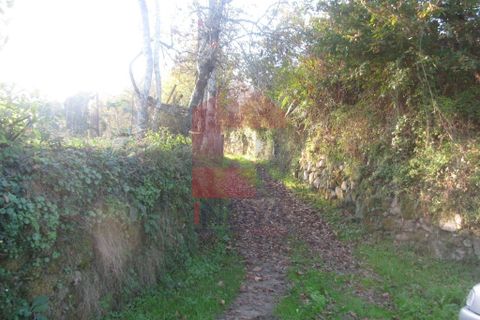 Helårsgrund i Amares, Braga, Amares - € 16.500 | Ref: 08041 - foto 10