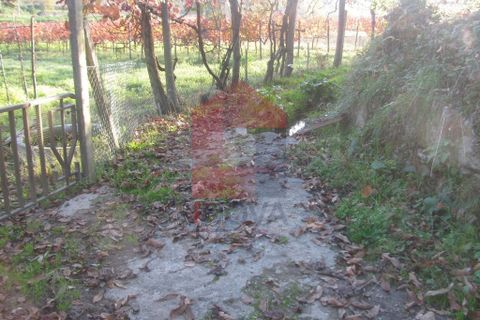 Helårsgrund i Amares, Braga, Amares - € 16.500 | Ref: 08041 - foto 11