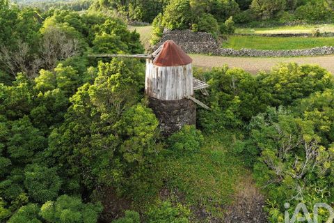 Byhus i Madalena, Pico, Madalena - € 175.000 | Ref: 89496 - foto 11