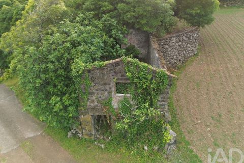 Byhus i Madalena, Pico, Madalena - € 175.000 | Ref: 89496 - foto 6