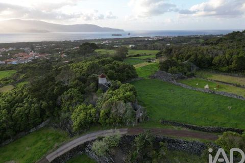 Byhus i Madalena, Pico, Madalena - € 175.000 | Ref: 89496 - foto 14