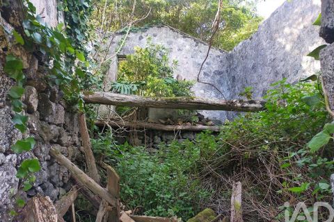 Byhus i Madalena, Pico, Madalena - € 175.000 | Ref: 89496 - foto 15