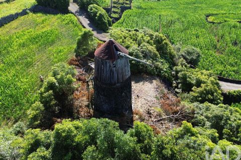 Byhus i Madalena, Pico, Madalena - € 175.000 | Ref: 89496 - foto 4