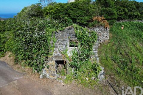 Byhus i Madalena, Pico, Madalena - € 175.000 | Ref: 89496 - foto 5