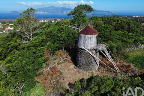Byhus i Madalena, Pico, Madalena - € 175.000 | Ref: 89496 - foto 7