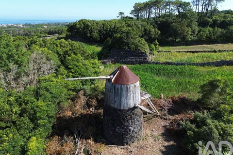Byhus i Madalena, Pico, Madalena - € 175.000 | Ref: 89496 - foto 8
