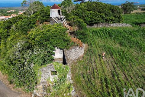Byhus i Madalena, Pico, Madalena - € 175.000 | Ref: 89496 - foto 9