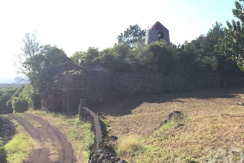 Byhus i Madalena, Pico, Madalena - € 175.000 | Ref: 89496 - foto 17