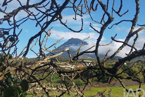 Byhus i Madalena, Pico, Madalena - € 175.000 | Ref: 89496 - foto 19