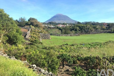 Byhus i Madalena, Pico, Madalena - € 175.000 | Ref: 89496 - foto 20