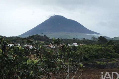 Byhus i Madalena, Pico, Madalena - € 175.000 | Ref: 89496 - foto 21