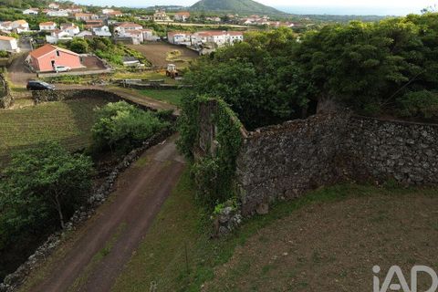 Byhus i Madalena, Pico, Madalena - € 175.000 | Ref: 89496 - foto 22