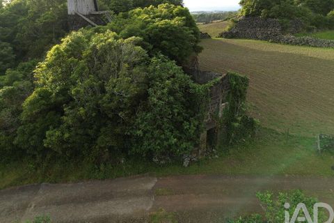 Byhus i Madalena, Pico, Madalena - € 175.000 | Ref: 89496 - foto 23