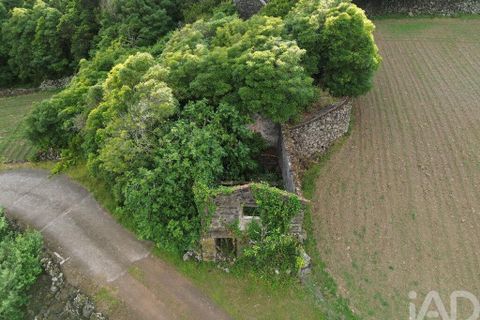 Byhus i Madalena, Pico, Madalena - € 175.000 | Ref: 89496 - foto 24
