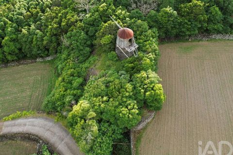 Byhus i Madalena, Pico, Madalena - € 175.000 | Ref: 89496 - foto 25