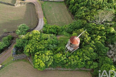 Byhus i Madalena, Pico, Madalena - € 175.000 | Ref: 89496 - foto 26