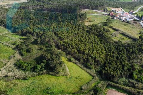 Helårsgrund i A dos Cunhados e Maceira, Lisbon, A dos Cunhados e Maceira - € 1.100.000 | Ref: TV/OS007-23 - foto 7