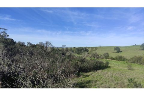 Helårsgrund i Almodovar, Beja, Almodovar - € 5.500 | Ref: SÒL_15 - foto 2