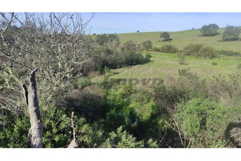 Helårsgrund i Almodovar, Beja, Almodovar - € 5.500 | Ref: SÒL_15 - foto 5