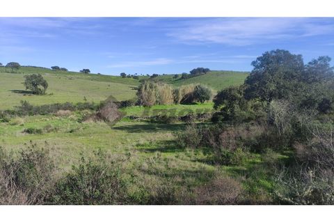 Helårsgrund i Almodovar, Beja, Almodovar - € 5.500 | Ref: SÒL_15 - foto 6
