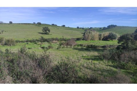 Helårsgrund i Almodovar, Beja, Almodovar - € 5.500 | Ref: SÒL_15 - foto 7