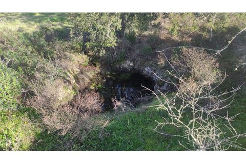 Helårsgrund i Almodovar, Beja, Almodovar - € 5.500 | Ref: SÒL_15 - foto 8