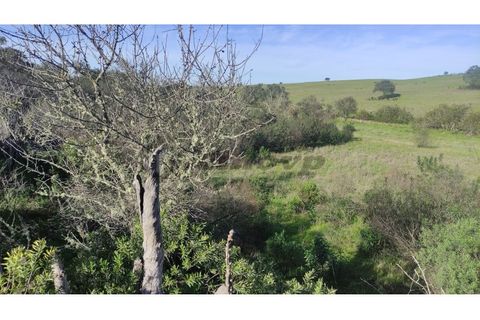 Helårsgrund i Almodovar, Beja, Almodovar - € 5.500 | Ref: SÒL_15 - foto 9