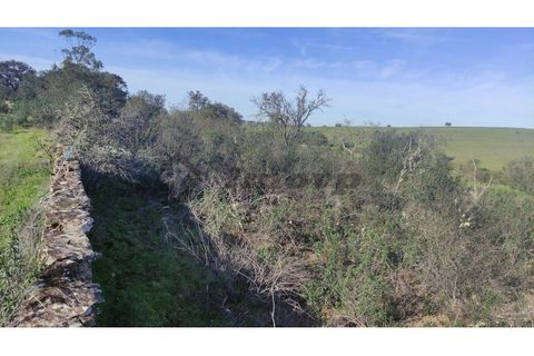 Helårsgrund i Almodovar, Beja, Almodovar - € 5.500 | Ref: SÒL_15 - foto 10