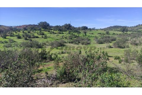 Helårsgrund i Almodovar, Beja, Almodovar - € 55.000 | Ref: SÒL_14 - foto 2