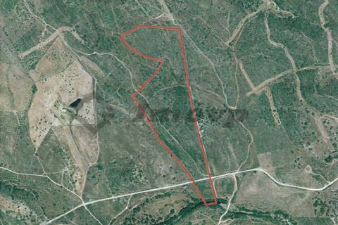 Helårsgrund i Almodovar, Beja, Almodovar - € 55.000 | Ref: SÒL_14 - foto 3