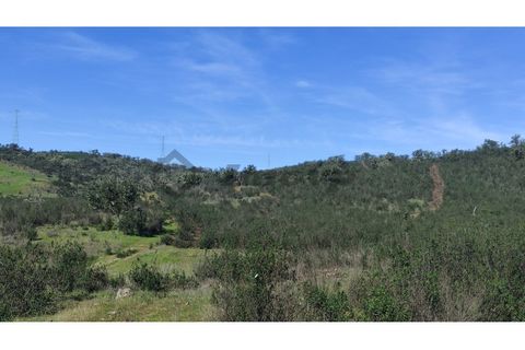 Helårsgrund i Almodovar, Beja, Almodovar - € 55.000 | Ref: SÒL_14 - foto 5