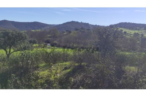 Helårsgrund i Almodovar, Beja, Almodovar - € 55.000 | Ref: SÒL_14 - foto 6