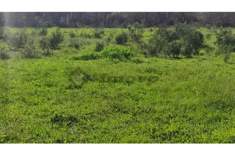 Helårsgrund i Almodovar, Beja, Almodovar - € 55.000 | Ref: SÒL_14 - foto 7