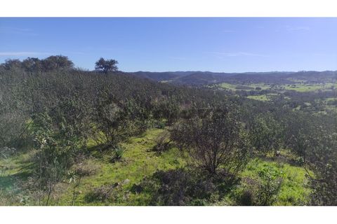 Helårsgrund i Almodovar, Beja, Almodovar - € 55.000 | Ref: SÒL_14 - foto 9