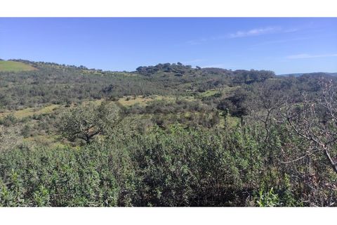 Helårsgrund i Almodovar, Beja, Almodovar - € 55.000 | Ref: SÒL_14 - foto 10