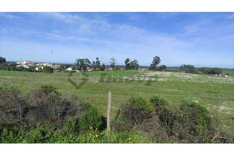 Helårsgrund i Almodovar, Beja, Almodovar - € 20.000 | Ref: SÒL_7 - foto 2