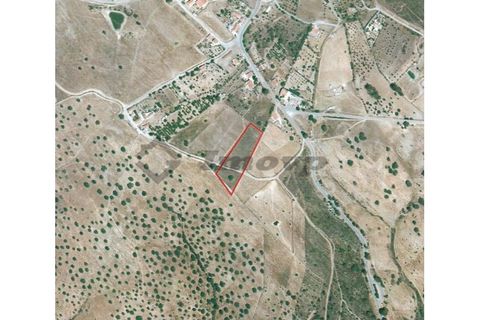 Helårsgrund i Almodovar, Beja, Almodovar - € 20.000 | Ref: SÒL_7 - foto 3