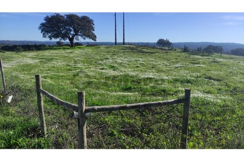 Helårsgrund i Almodovar, Beja, Almodovar - € 20.000 | Ref: SÒL_7 - foto 5