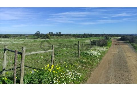 Helårsgrund i Almodovar, Beja, Almodovar - € 20.000 | Ref: SÒL_7 - foto 6