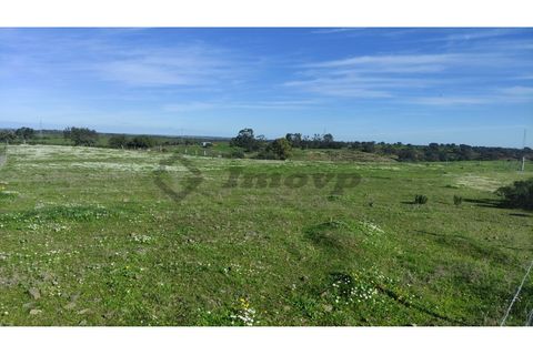 Helårsgrund i Almodovar, Beja, Almodovar - € 20.000 | Ref: SÒL_7 - foto 7