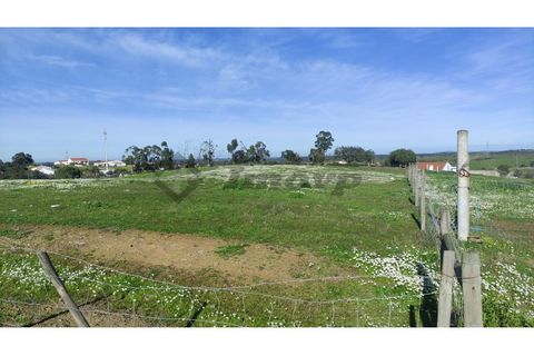 Helårsgrund i Almodovar, Beja, Almodovar - € 20.000 | Ref: SÒL_7 - foto 8