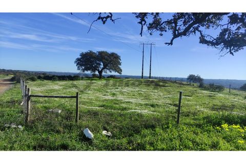 Helårsgrund i Almodovar, Beja, Almodovar - € 20.000 | Ref: SÒL_7 - foto 9