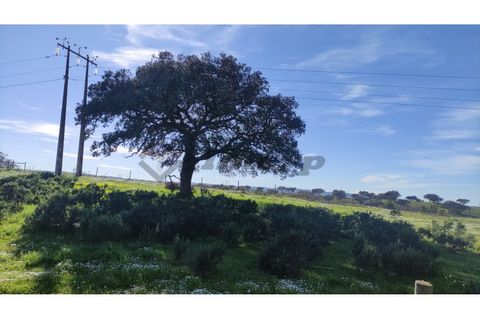 Helårsgrund i Almodovar, Beja, Almodovar - € 20.000 | Ref: SÒL_7 - foto 10