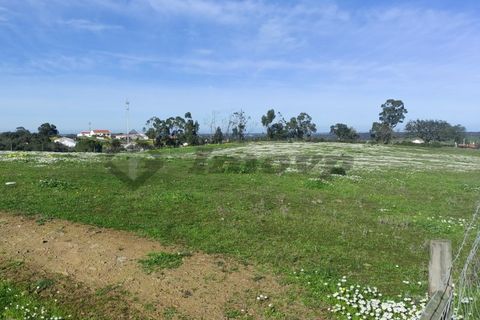 Helårsgrund i Almodovar, Beja, Almodovar - € 20.000 | Ref: SÒL_7 - foto 1