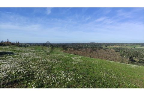 Helårsgrund i Almodovar, Beja, Almodovar - € 60.000 | Ref: SÒL_6 - foto 2