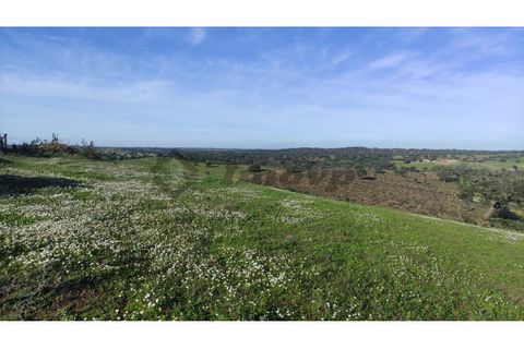 Helårsgrund i Almodovar, Beja, Almodovar - € 60.000 | Ref: SÒL_6 - foto 3